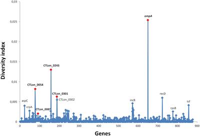 Specific high-resolution scheme to improve understanding of the spatio-temporal dispersion of lymphogranuloma venereum epidemic